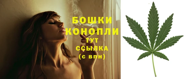 ПСИЛОЦИБИНОВЫЕ ГРИБЫ Мегион