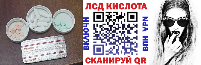 дарнет шоп  MEGA как войти  Лсд 25 экстази ecstasy  Пудож 