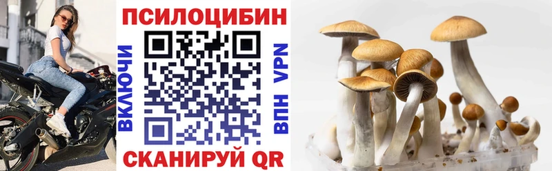 Галлюциногенные грибы Cubensis  хочу   Пудож 